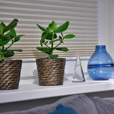 Apartamenty Sjesta River Kudowa-Zdrój Eksteriør billede